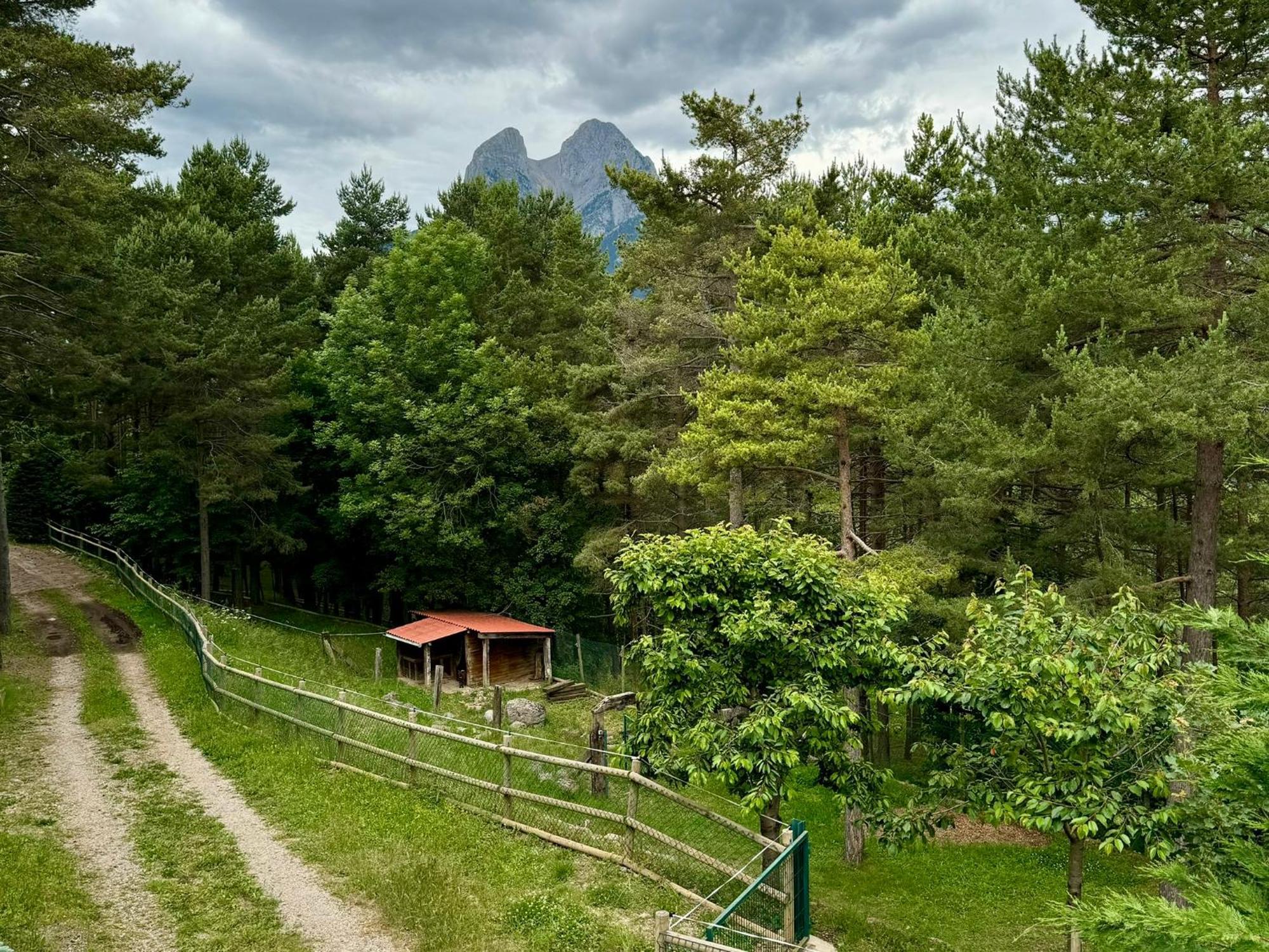 Cal Roig - Pedraforca Villa Saldes Bagian luar foto